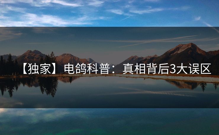 【独家】电鸽科普：真相背后3大误区