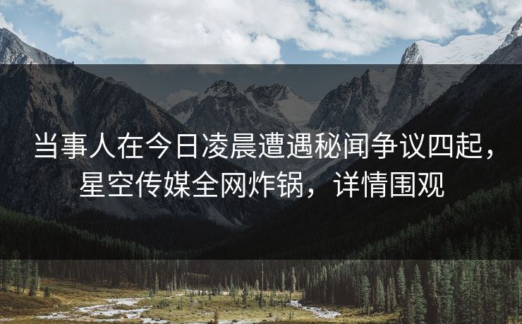当事人在今日凌晨遭遇秘闻争议四起，星空传媒全网炸锅，详情围观